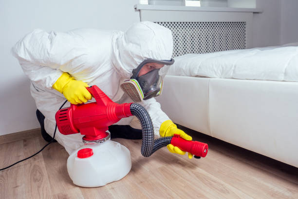 Best Pest Removal Services  in Fountain Green, UT