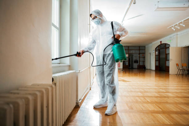 Best Residential Pest Control  in Fountain Green, UT